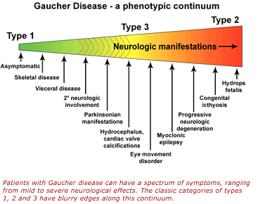 Patients with Gaucher disease can have a spectrum of symptoms, ranging from mild to severe neurological effects. The classic categories of types 1, 2 and 3 have blurry edges along this continuum.