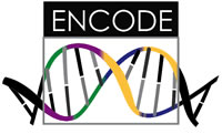 ENCODE Logo