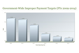 Government-Wide Improper Payment Targets