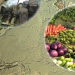 Global Food Security in the 21st Century: Free USGS Public Lecture August 30