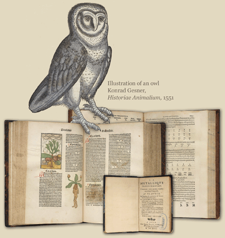 Illustration of an owl Konrad Gesner, Historiae Animalium, 1551