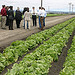 Sec Vilsack visit to Salinas, CA