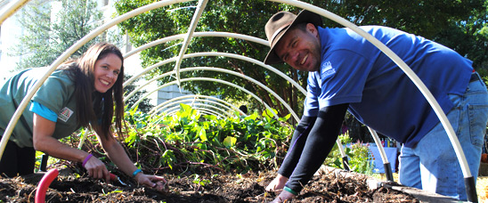 People's Gardens Give Back Over One Million Pounds