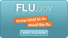 Know What to Do About the Flu, Visit Flu.gov