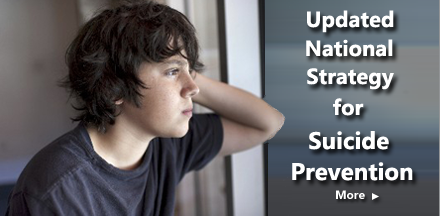Updated National Suicide Prevention Strategy