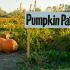 Sign for Pumpkin Patch with Pumpkins:Copyright iStock Photos