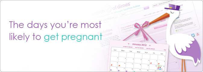 The days you're most likely to get pregnant