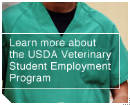 Link to Internships & Veterinary Student Employment