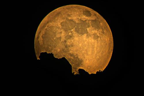 Image description: The U.S. Department of Interior shared this photo of Friday&#8217;s &#8220;blue moon&#8221; on its blog.

The full “blue” Moon was in full display over many public lands this weekend, but we just had to share this one amazing from Zion National Park. What a picture!Photo: National Park Service 
