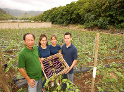 The Ho family on their farm, with a box of Japanese eggplant