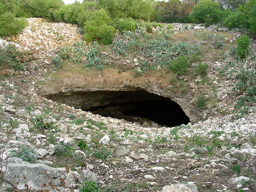Bracken Cave near San Antonio, Texas, harbors one of world's largest colonies of Mexican Free-tailed bats, May 2011. Each evening during the summer more than 20 million bats emerge from the cave to feed on night-flying insects, many of which are pests to nearby crops. Photo courtesy of: Dennis Krusac