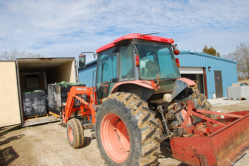 Produce for market is stored in a cooler next to the processing building and is loaded on Walmart trucks using a tractor with a fork-lift attachment built by Al Hooks. 