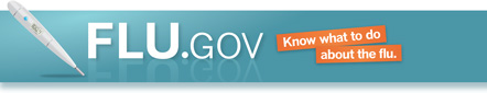 logo for HHS website Flu.gov—click to view website