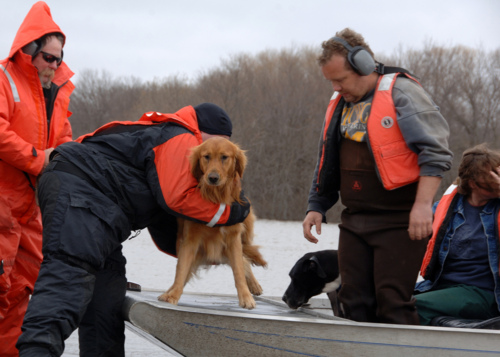 A Coast Guard technician helps a family and their pets near a submerged road along the Red River in Kindred, North Dakota.