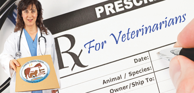 Veterinarian holding a folder with the CVM logo