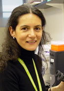 Elisabetta Mueller, Ph.D.