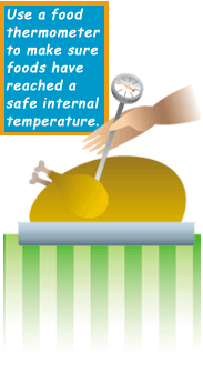 Image of a turkey and a food thermometer and the text: Use a food thermometer to make sure foods have reached a safe internal temperature.