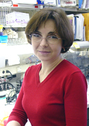 Oksana Gavrilova, Ph.D.