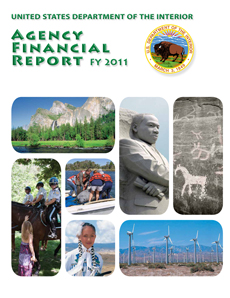 2011 Agency Financial Report Cover Image and PDF link