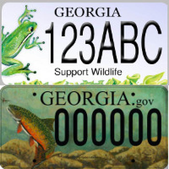 New Georgia wildlife license plates will support conservation and habitat restoration efforts.