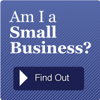 Am I a Small Business? Find Out