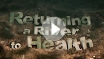 Watch "Returning A River to Health"