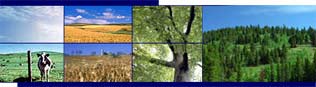 Photo collage of carbon sinks in agriculture and foresty