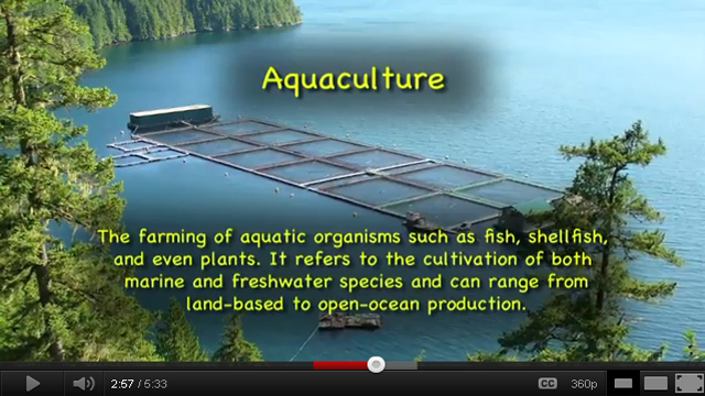  Aqua Kids Sustainable Seafood Part 1