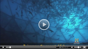 Ocean as a Lab: Fish Farms