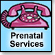 Prenatal Services