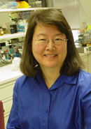 Peggy Hsieh, Ph.D.