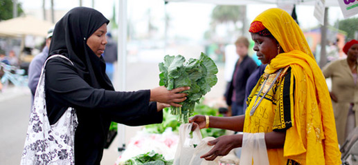 Refugees at IRC New Roots farm stand in San Diego, CA