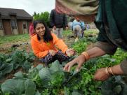 The IRC provides refugees like Puspa Lal Regmi with agricultural training