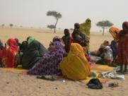 Families in drought-stricken western Chad take flight in the desert 