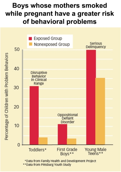 Boys whose mothers smoked while pregnant have a greater risk of behavioral problems graph