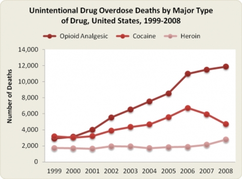 Unintentional Drug Overdose Deaths by Major Type of Drug, United States 1999-2008
