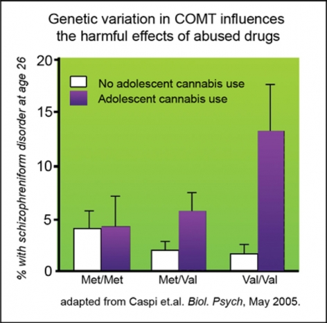 Genetic variation in COMT influences the harmful effects of abused drugs graph