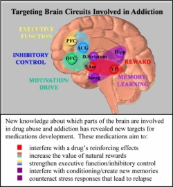 Targeting Brain Circuits Involved in Addiction figure