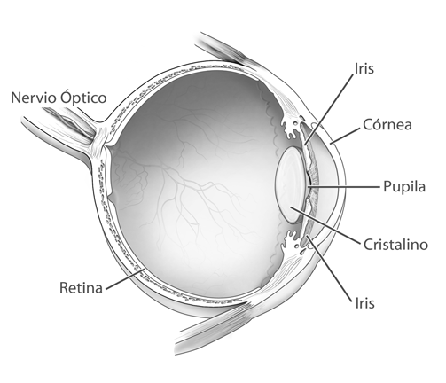 Eye diagram.