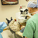 Warfighter Refractive Eye Surgery Center