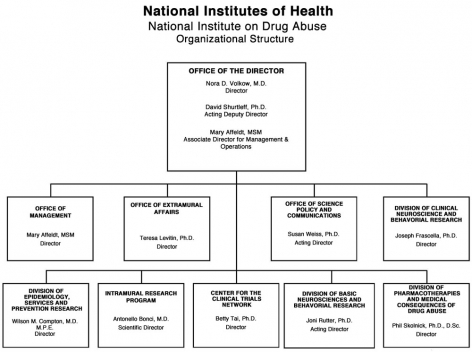 2012 NIDA Organizational Structure, link below for full description