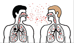 Diagram of TB spread by sneezing