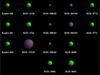 A table of the 41 New Transiting Planets in Kepler Field of View