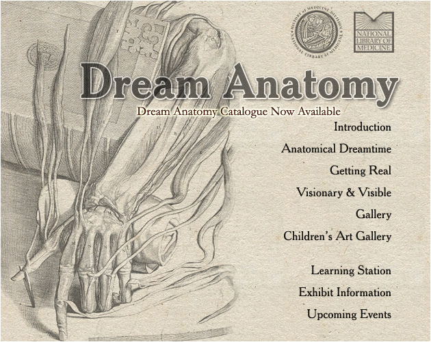 Dream Anatomy header
