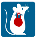animation of a mouse with a beating heart--press your browser stop button or change your browser preferences to disable animation