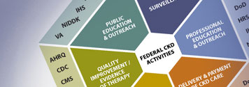 A hexagon graphic shows how various federal departments, agencies, and institutes contribute to the multifaceted and interconnected response to CKD. The hexagon is divided into six triangles representing six initiatives: public education and outreach, surveillance, professional education and outreach, delivery & payment of CKD care, scientific research, and quality improvement/evidence of therapy. Participating departments, agencies, and institutes are listed in the appropriate triangles.