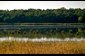 Photo of Cherokee Marsh in Wisconsin.