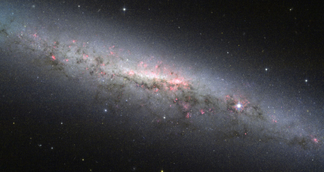 A pale milky galaxy seen on edge - with pink clusters of star-forming regions sprinkled through the center