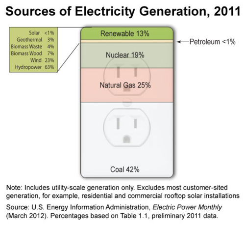 Image description: This graphic describes the sources of electricity generation for the United States in 2011. Coal provided 42 percent of electricity, followed by natural gas at 25 percent, nuclear power at 19 percent and renewable sources at 13 percent.
Of renewable sources, hydroelectric power (mostly from dams) lead the way at 63 percent. Learn more about the use of renewable sources of energy in the U.S.
Infographic courtesy of the U.S. Energy Information Administration.