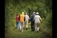 Photograph, from behind, of six elderly people walking in the woods